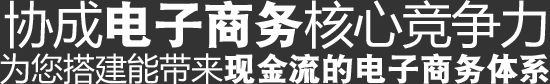 協(xié)城電子商務核心競爭力,為您搭建能帶來現(xiàn)金流的電子商務體系